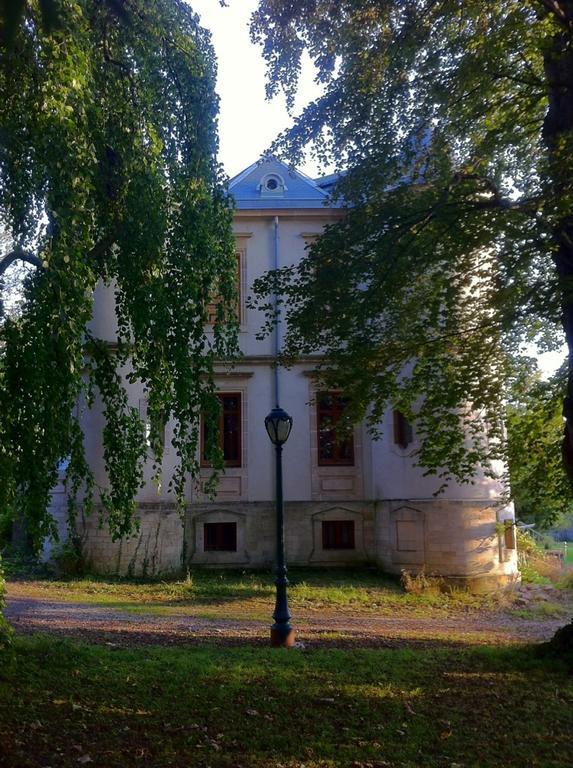 Le Chateau De Conde En Barrois Bed & Breakfast Room photo