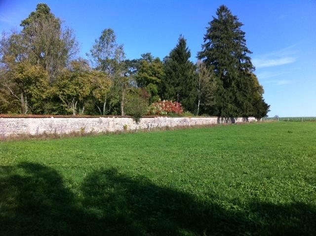 Le Chateau De Conde En Barrois Bed & Breakfast Exterior photo